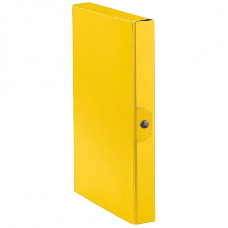 Esselte  Eurobox Cartoncino Giallo cartella 390330090 - Esselte - 390330090