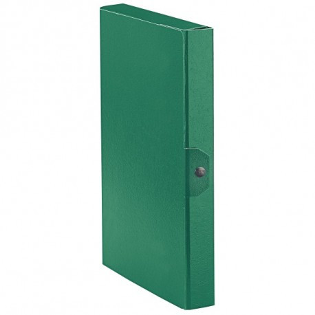 Esselte  Eurobox Cartoncino Verde cartella 390324180 - Esselte - 390324180